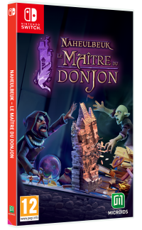 Maître du Donjon